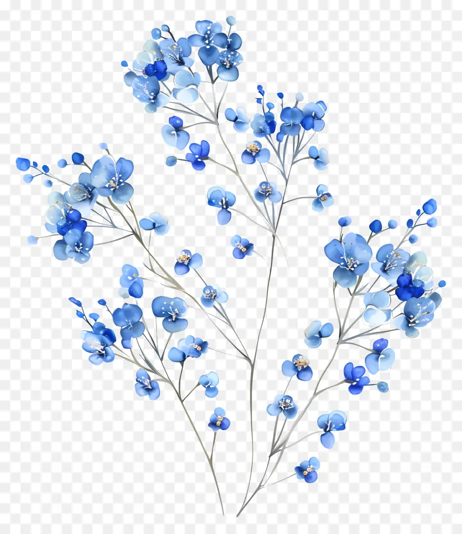 Flor De Aliento De Los Niños，Flores De Color Azul PNG