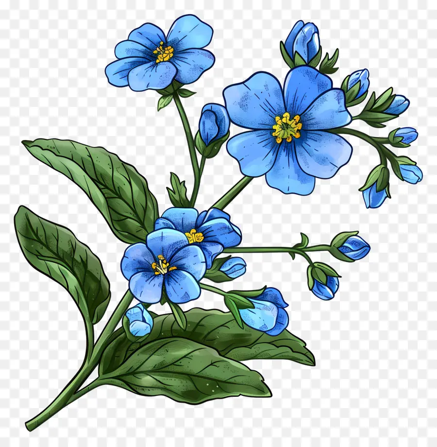 Me Olvide De Los Pobres，Flor Azul PNG