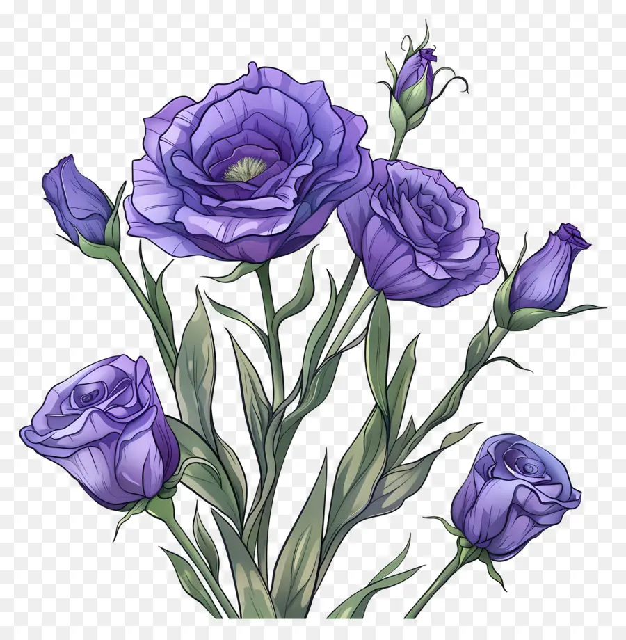 Flores De Eustoma，Las Rosas De Color Púrpura PNG