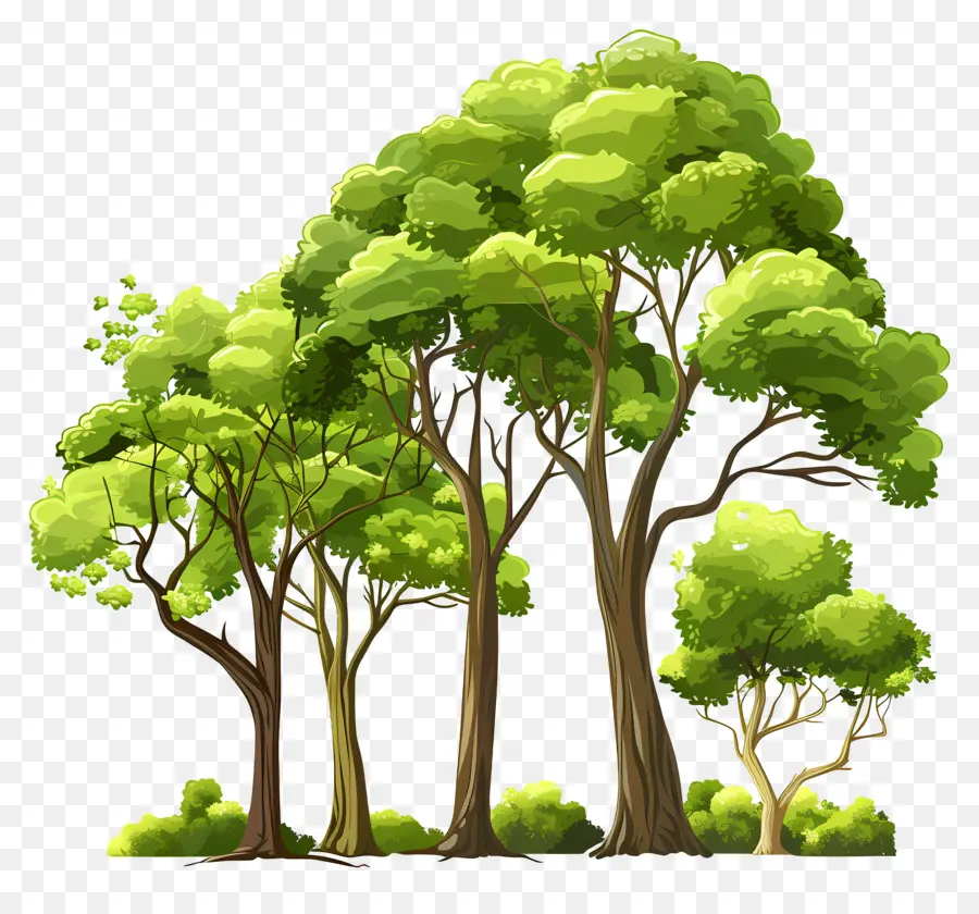 Los árboles De Los Bosques，Los árboles PNG