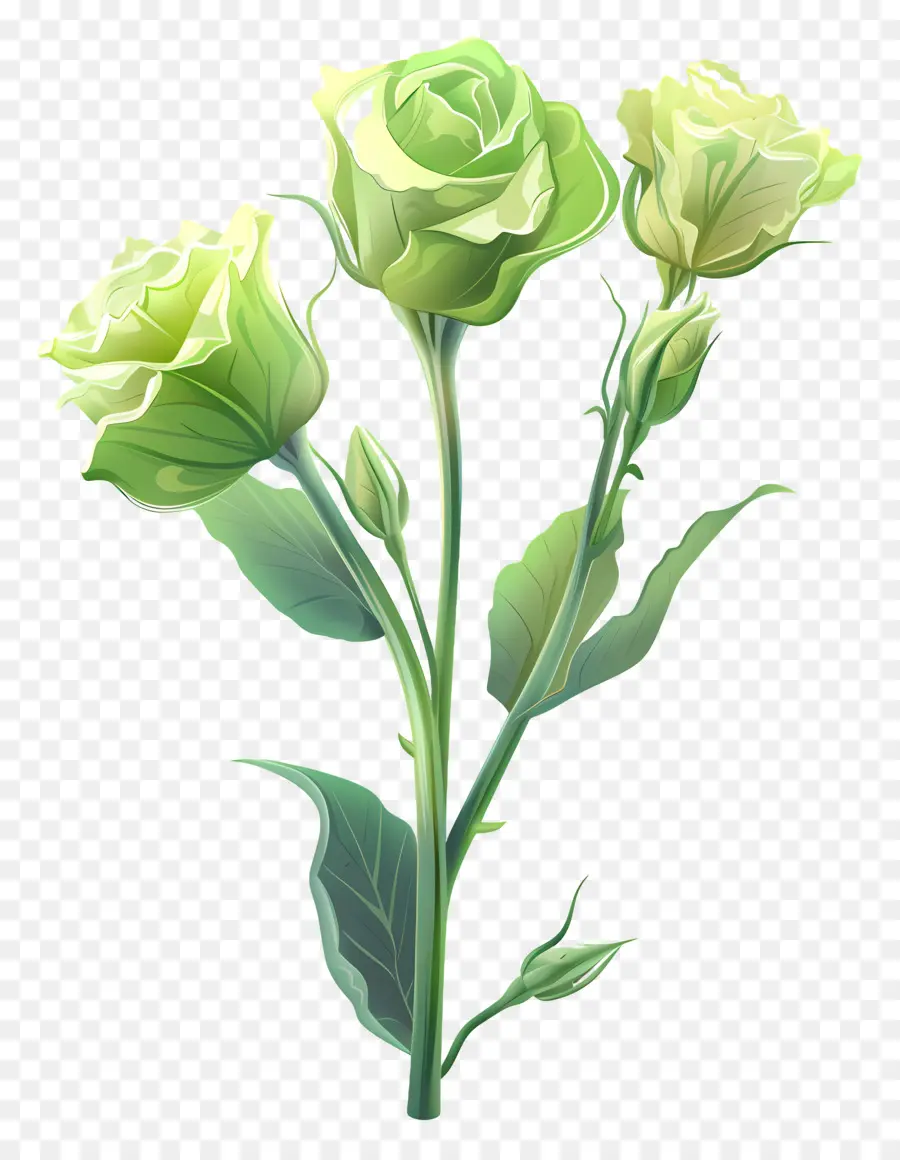 Flor Verde Lisianthus，Verde Rosa PNG