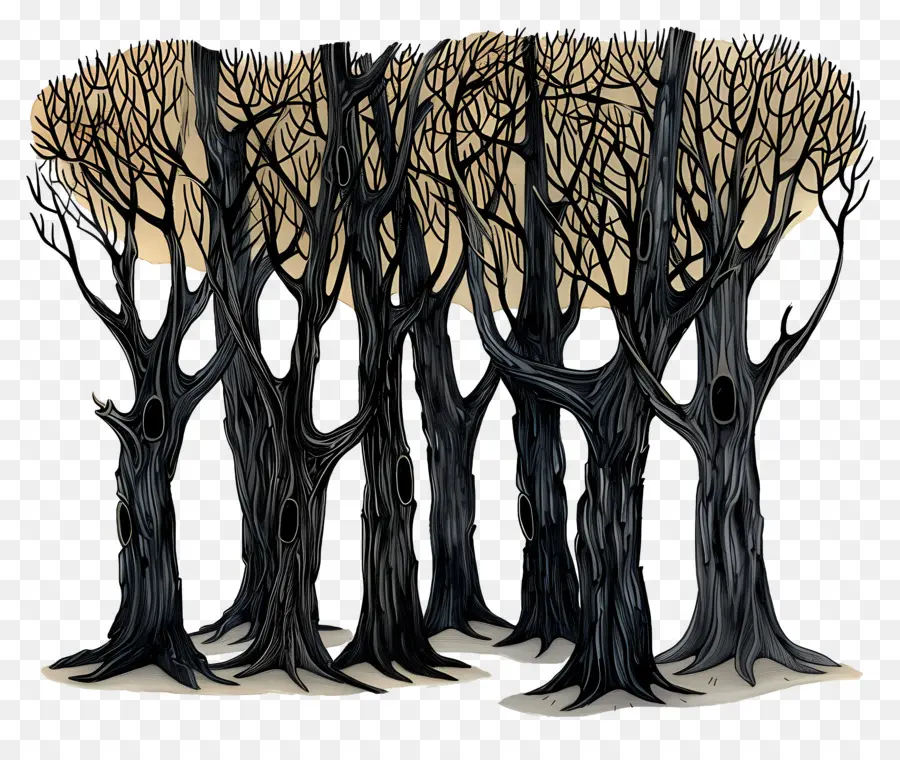 Los árboles De Los Bosques，Bosque Oscuro PNG