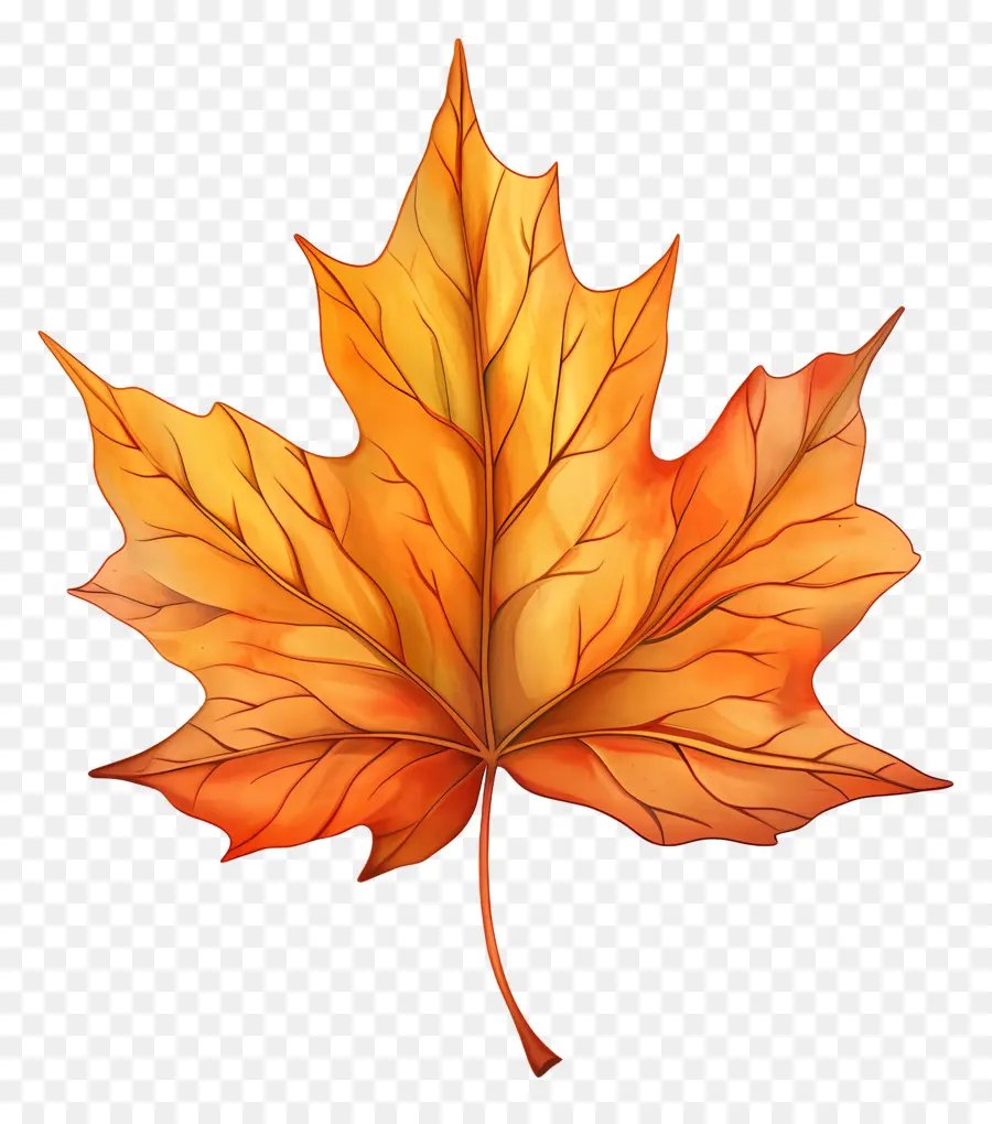 Fall Leaf Clipart，La Hoja De Arce PNG