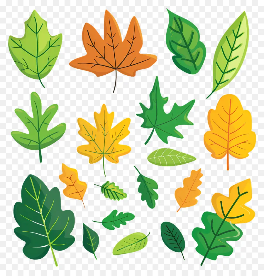 Clipart De Hoja Simple，Autumn Leaves PNG