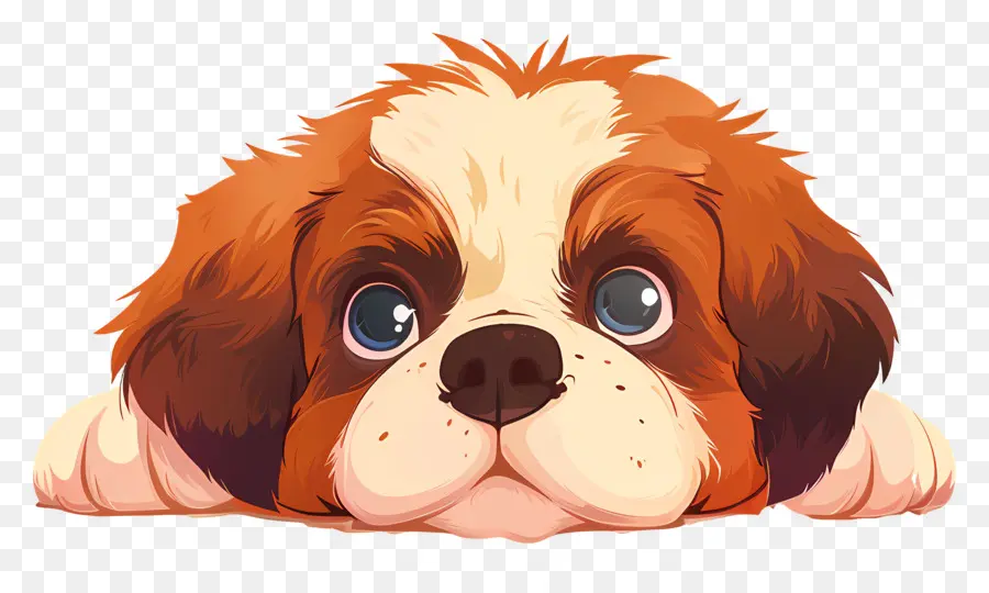 Lindo Perro，Perro PNG