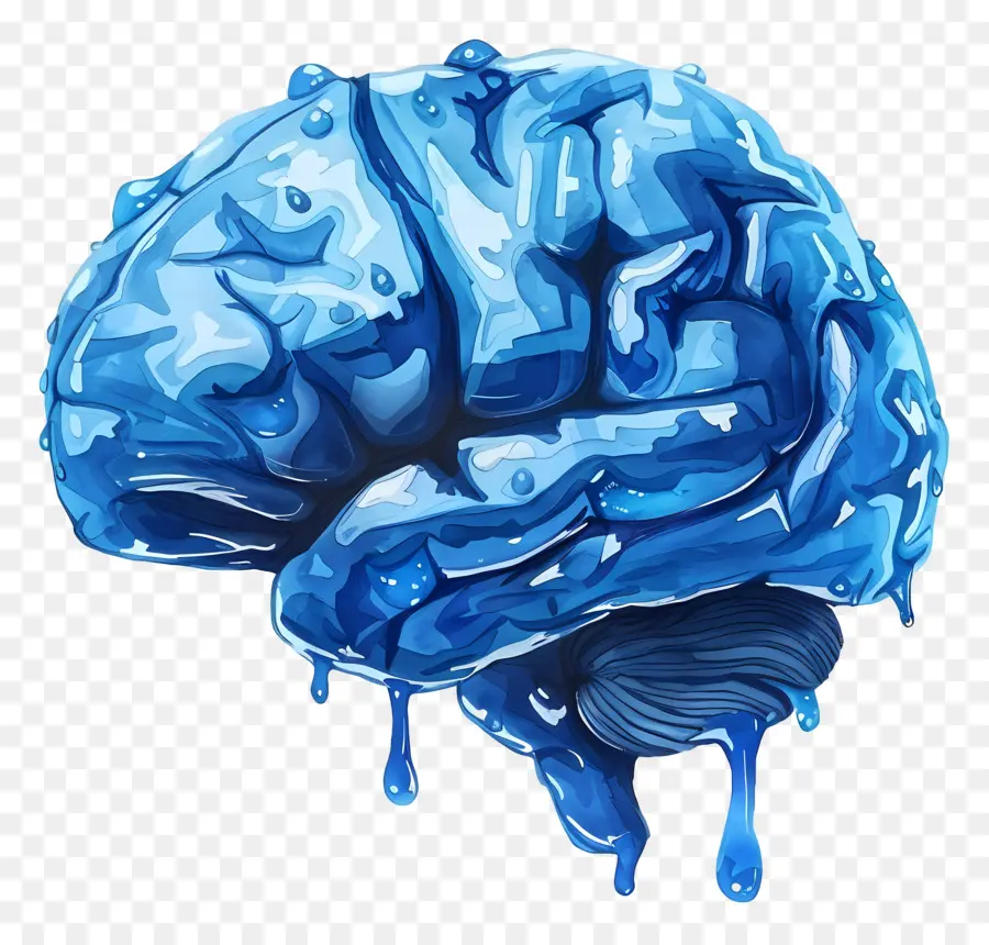 Blue Brain，Cerebro PNG