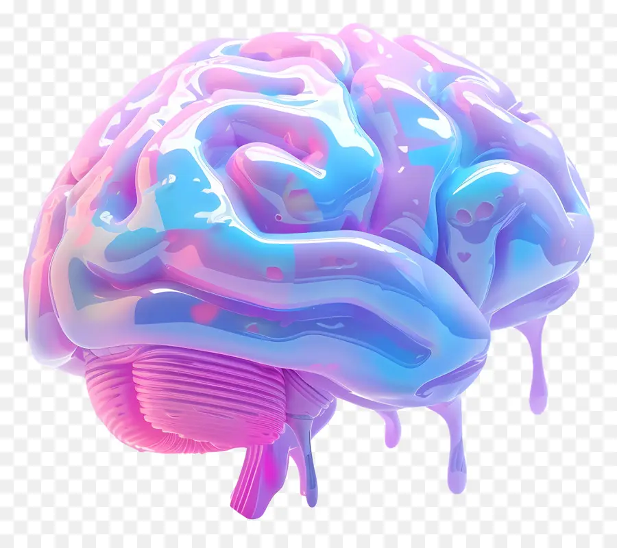 Animados Cerebro，El Cerebro Humano PNG