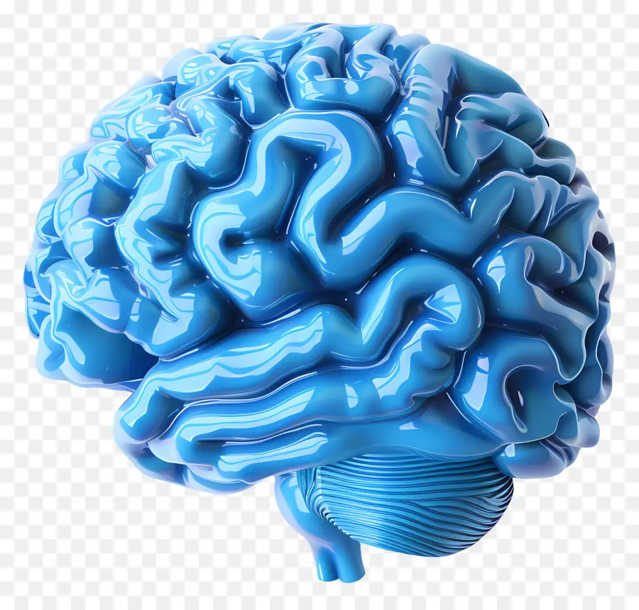 Blue Brain，Modelo De Cerebro 3d PNG