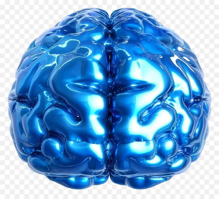 Blue Brain，Cerebro De Plástico PNG