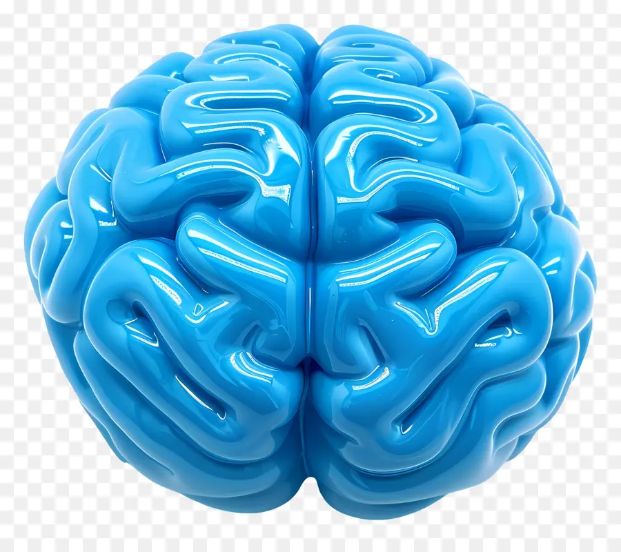 Blue Brain，El Cerebro Humano PNG