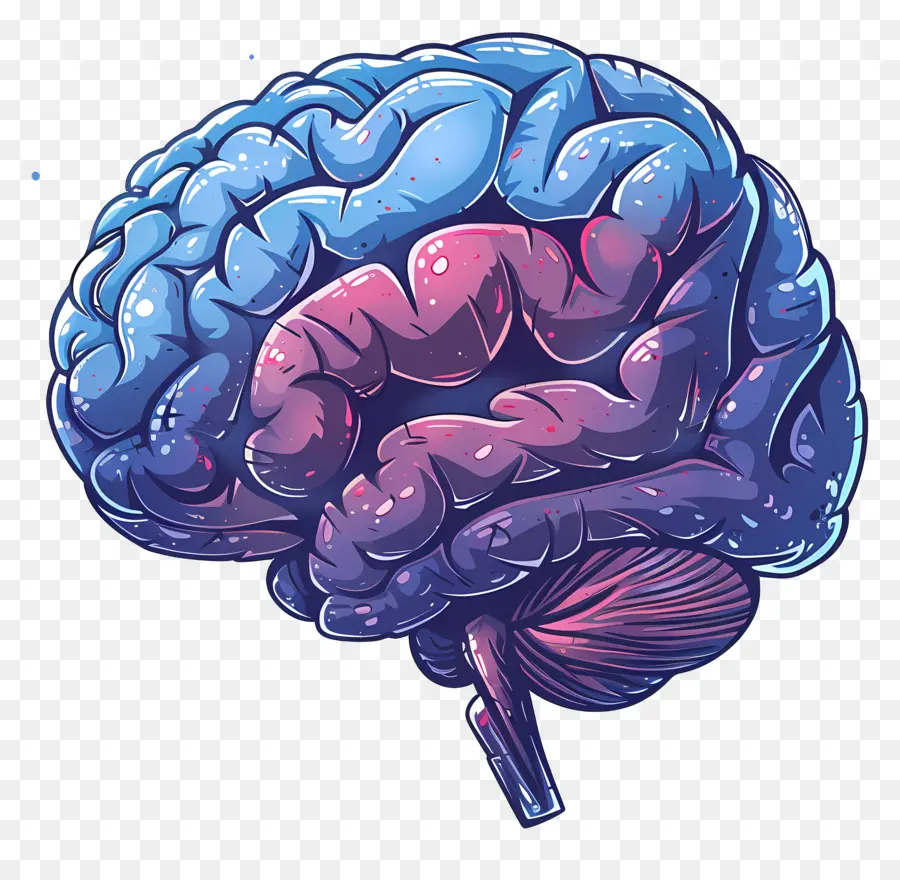 Animados Cerebro，Cerebro PNG