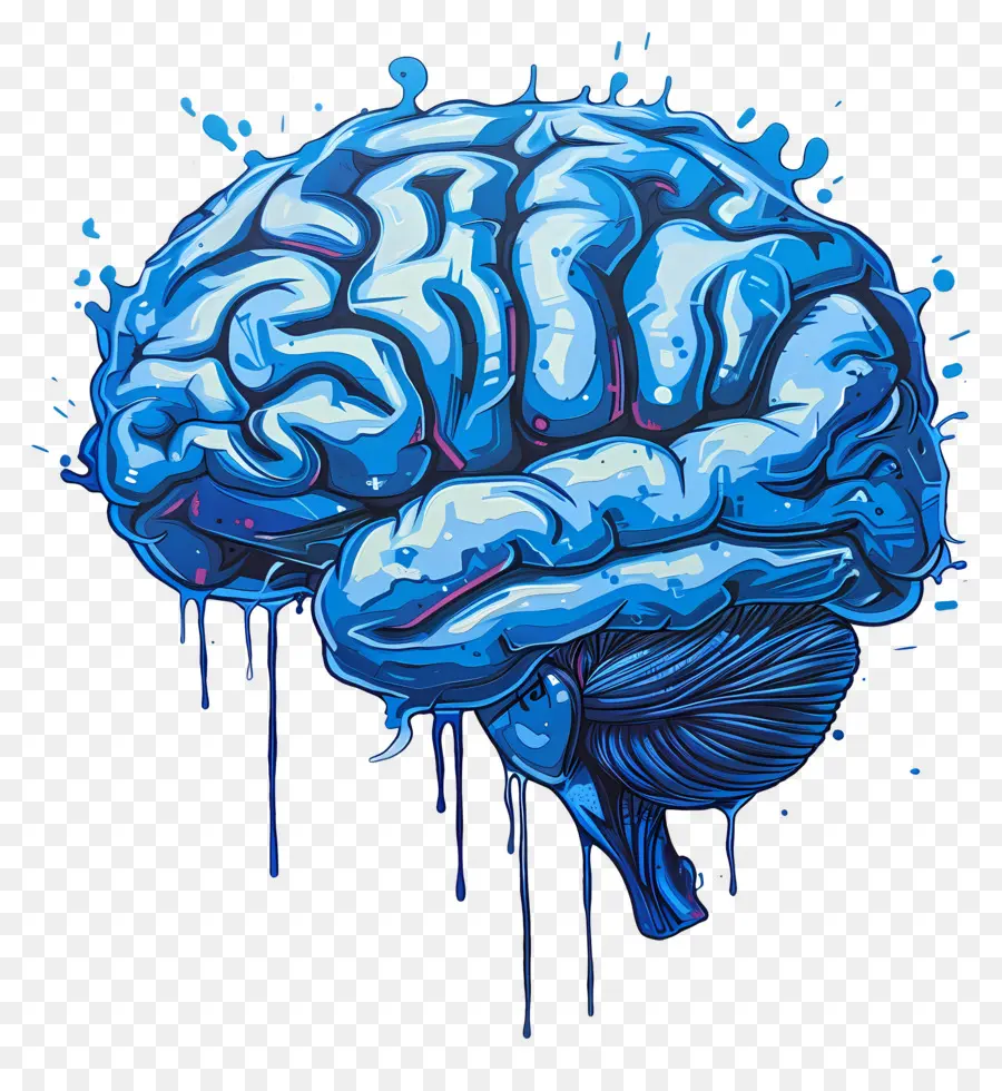 Cerebro Azul，Cerebro PNG