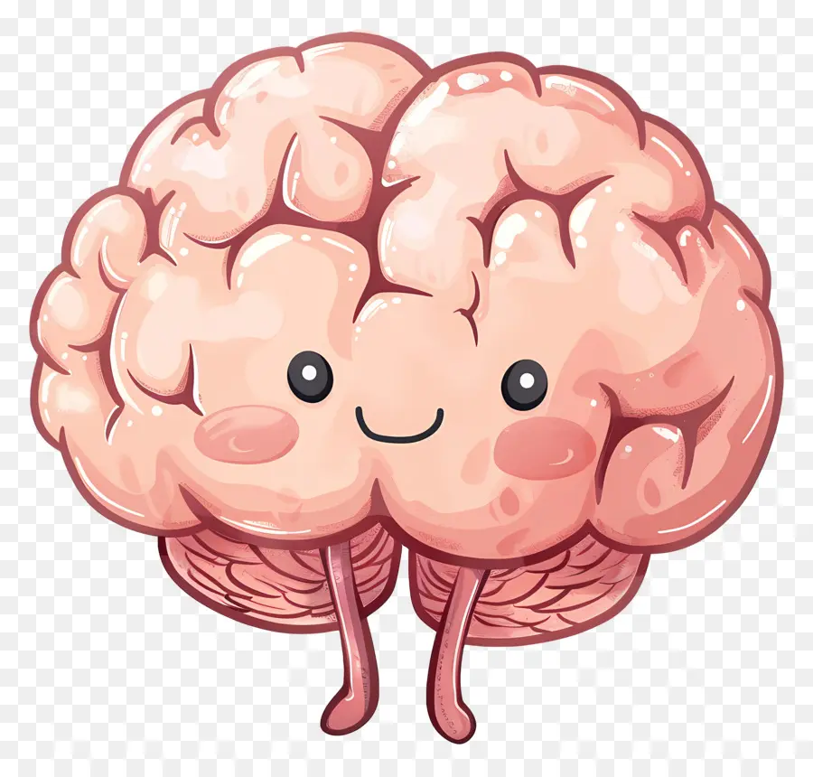 Lindo Cerebro，Dibujos Animados Cerebro PNG