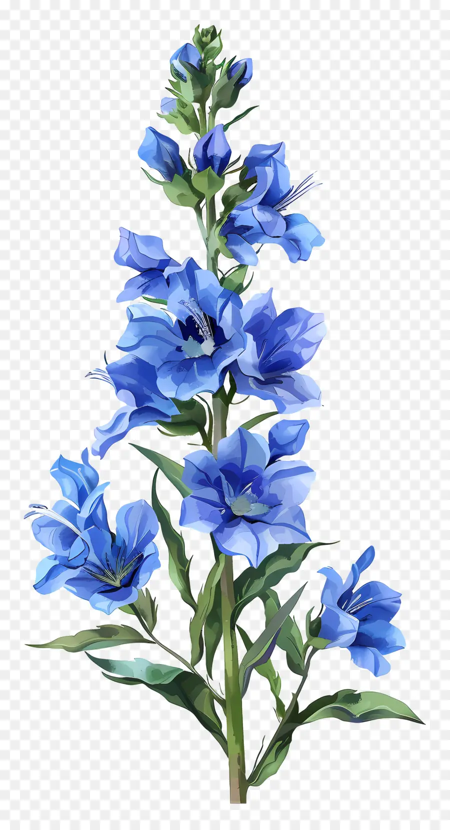 Flor De Larkspur，Flor Azul PNG