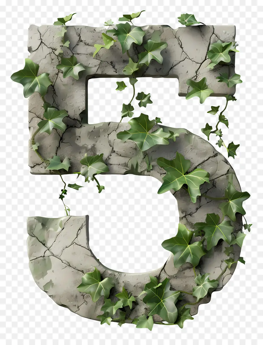 Número 5，Ivy PNG