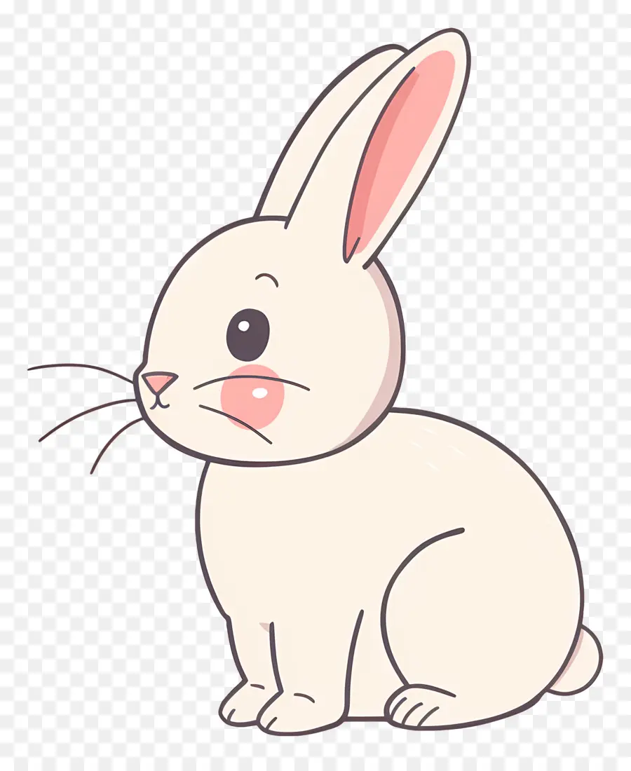 Conejito De Dibujos Animados，Conejo PNG