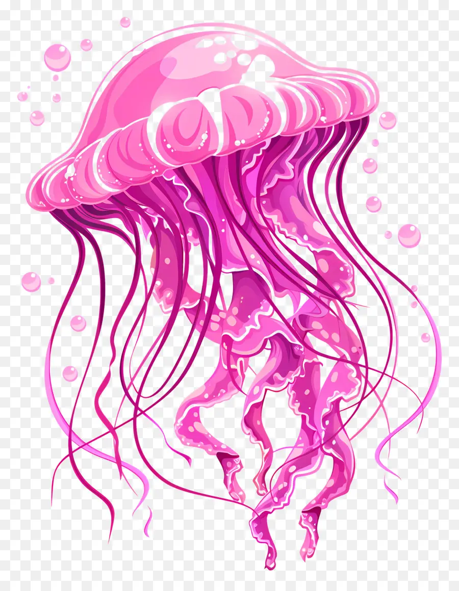 Las Medusas，Medusa Rosa PNG