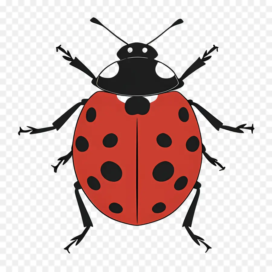 Ladybug，Rojo PNG