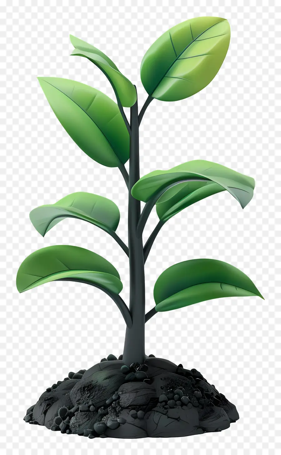 Suelo Vegetal，Planta PNG