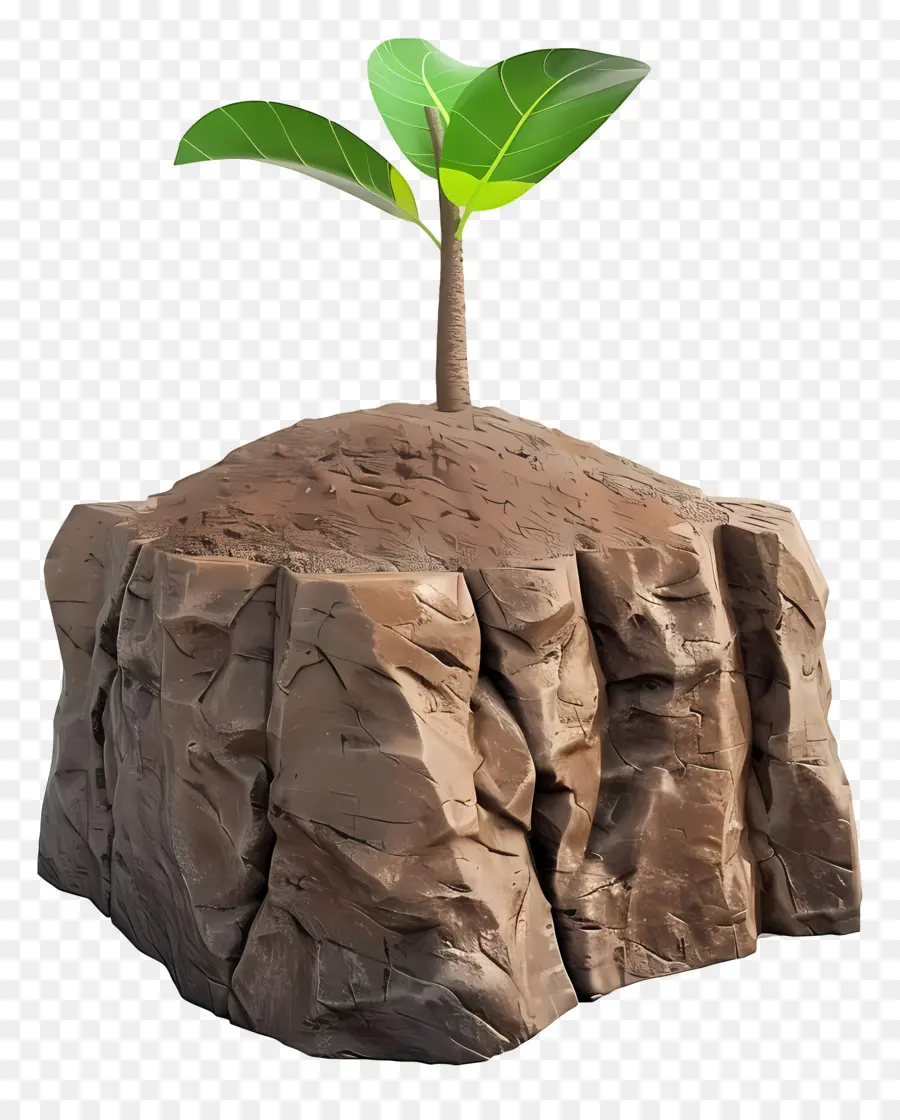 Suelo，Planta PNG