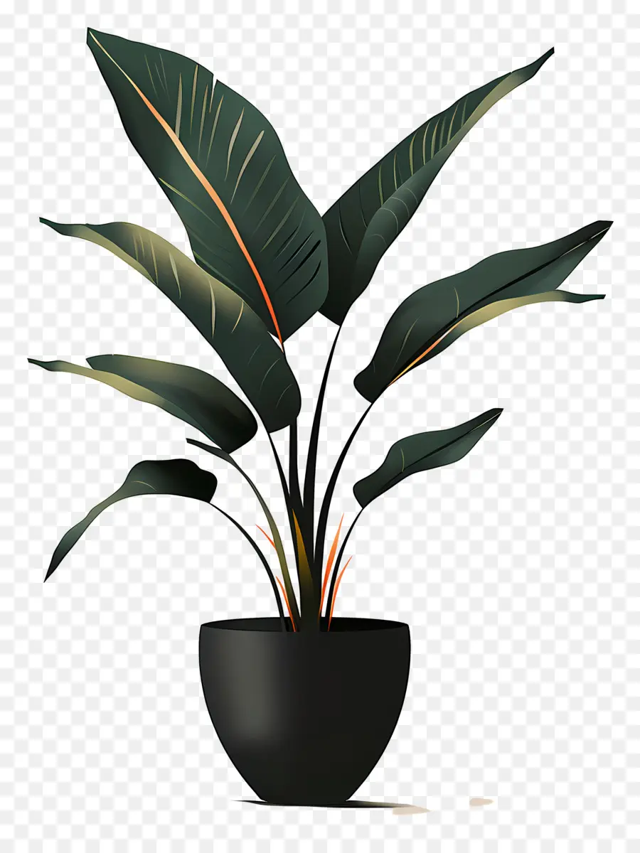 Planta En Maceta，Negro Florero PNG