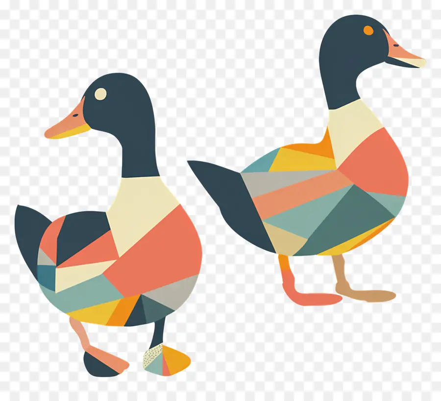 Los Patos，Aves PNG