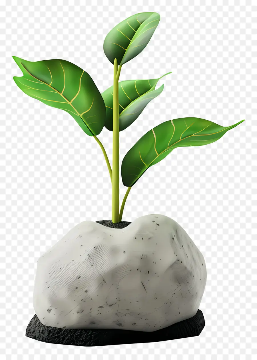 Planta Tierra，Planta PNG