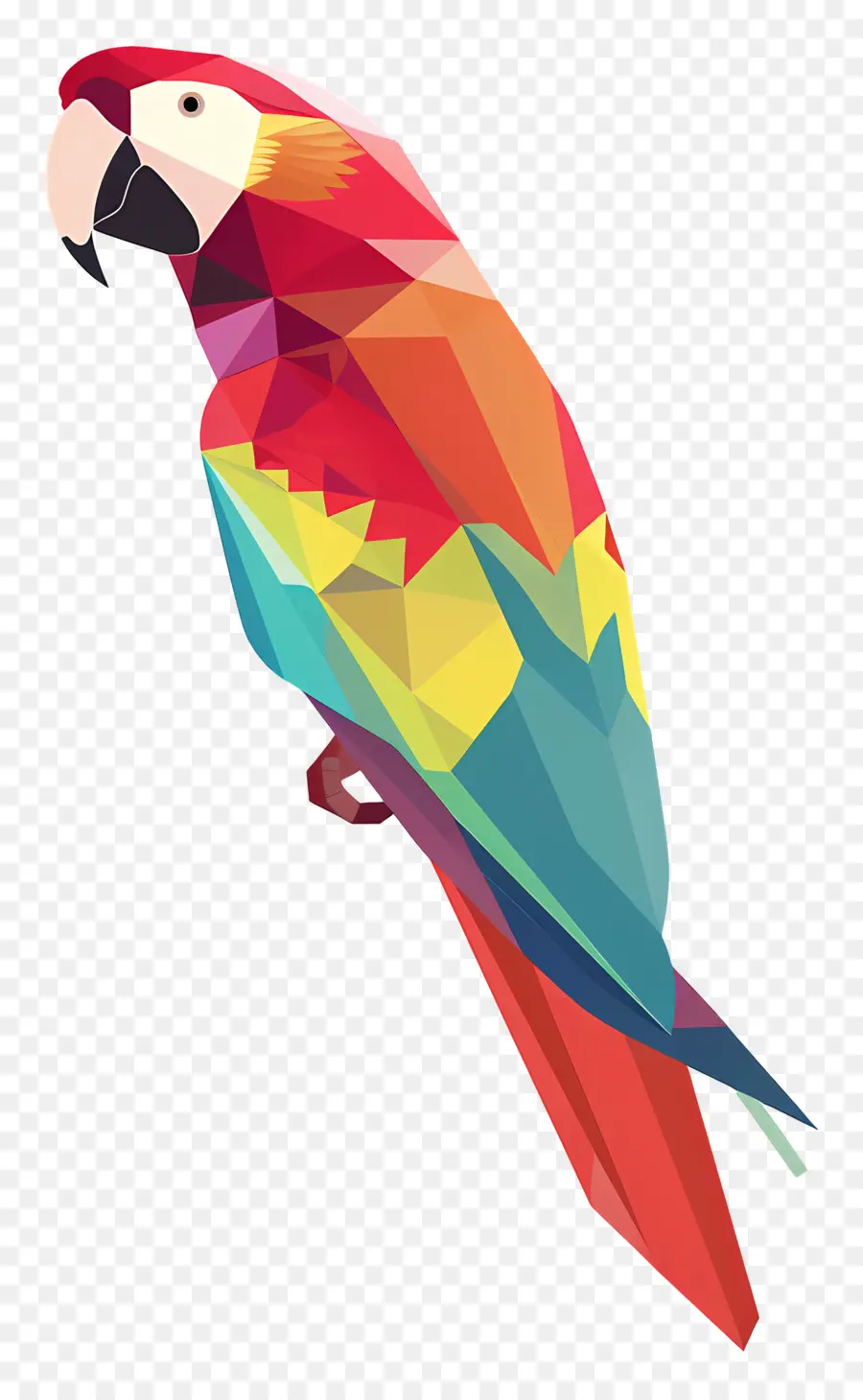 Loro，Guacamayo PNG