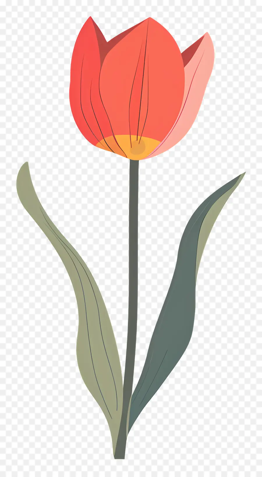 Tulip，Flor PNG