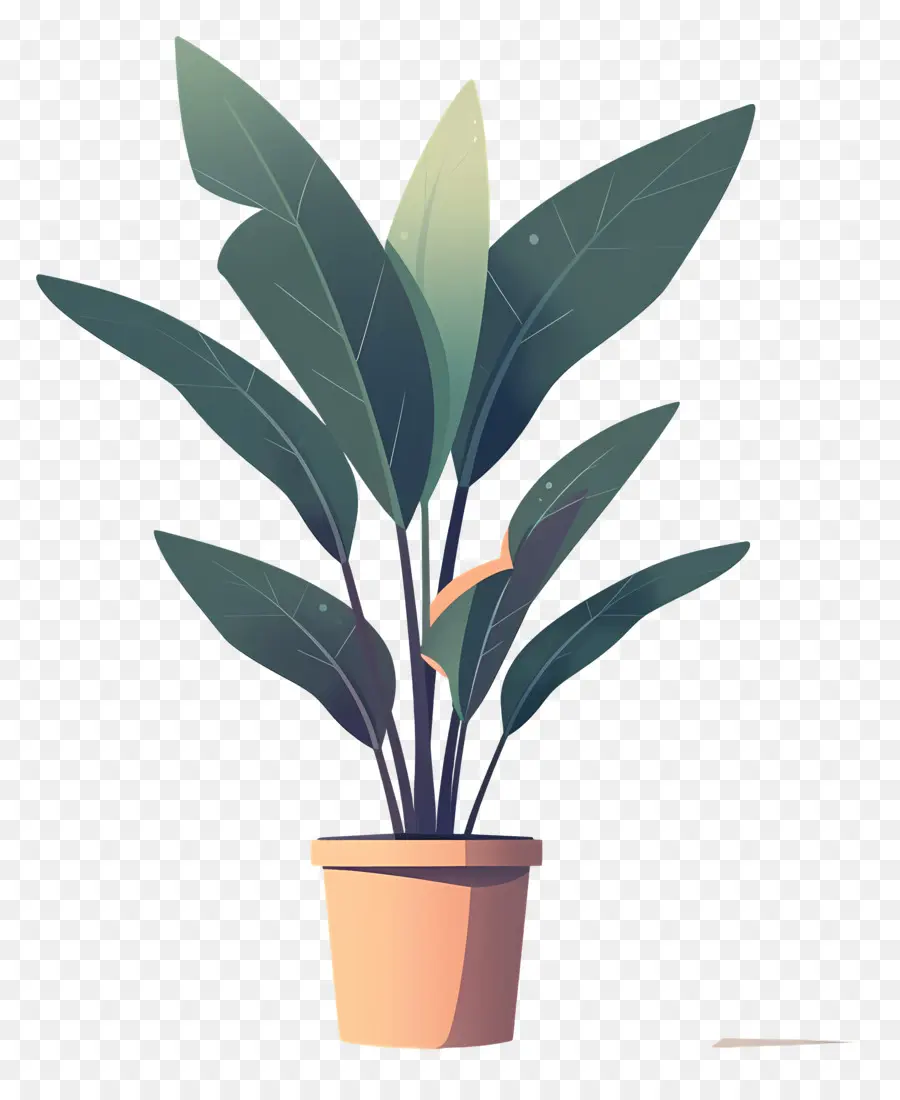 Planta En Maceta，Hojas PNG