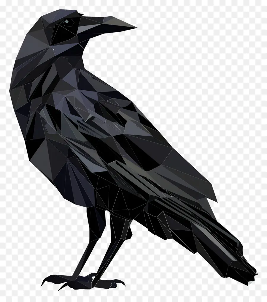 Cuervo，Plumas Negras PNG