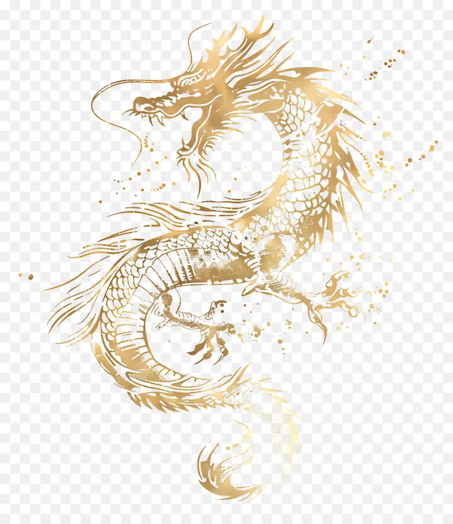 Gold Dragon，Dragón PNG