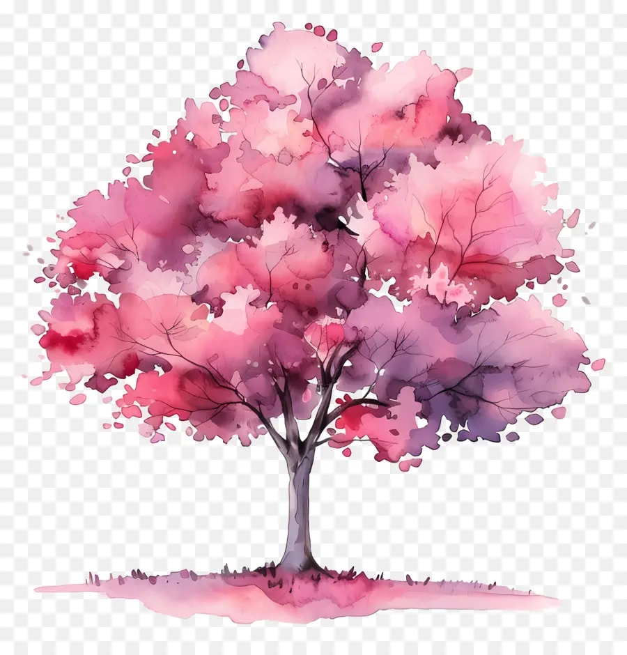 Plan De árbol De Acuarela，Flores De Color Rosa PNG