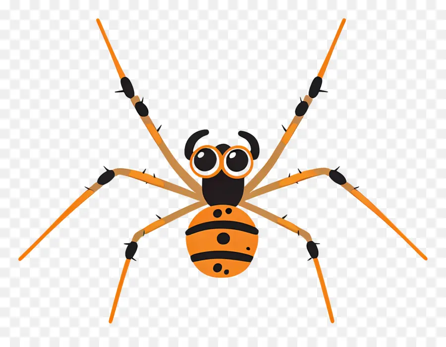 Araña，Insecto PNG