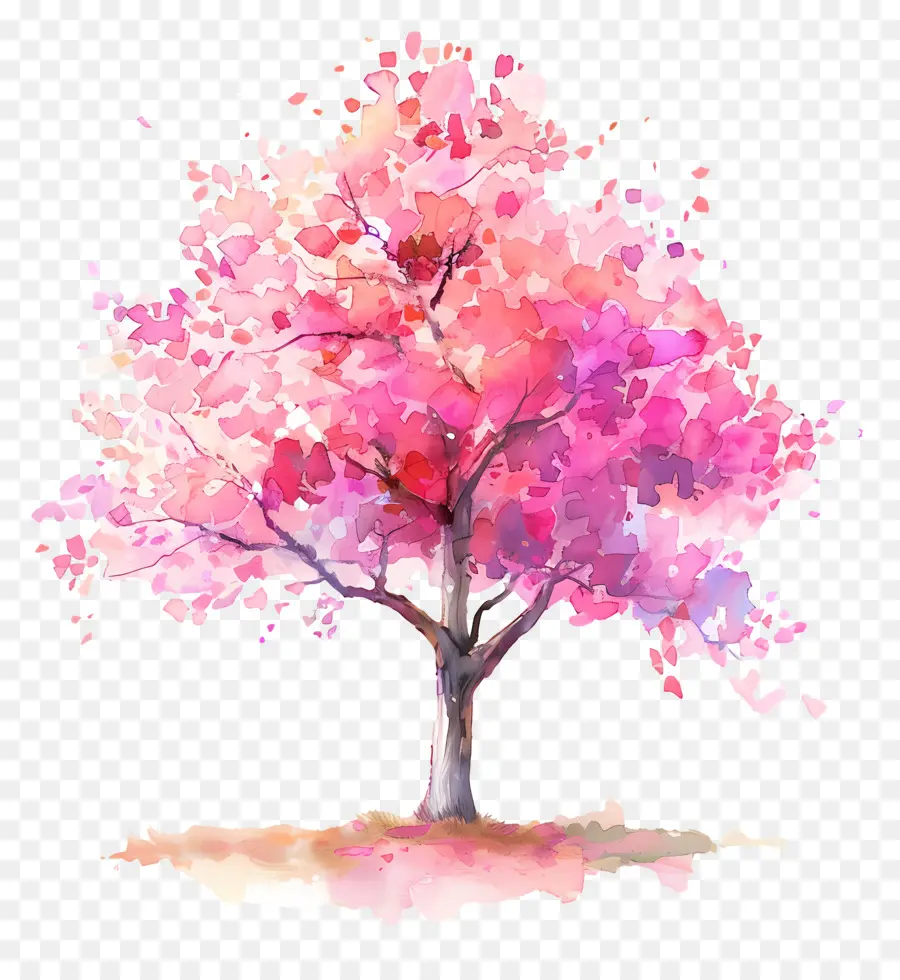 Plano De Arbol De Acuarela，Árbol De Flor De Cerezo PNG