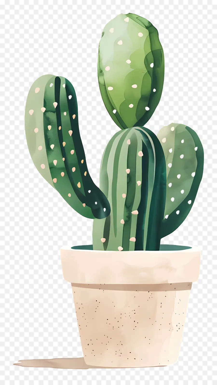 Cactus，Planta De Cactus PNG