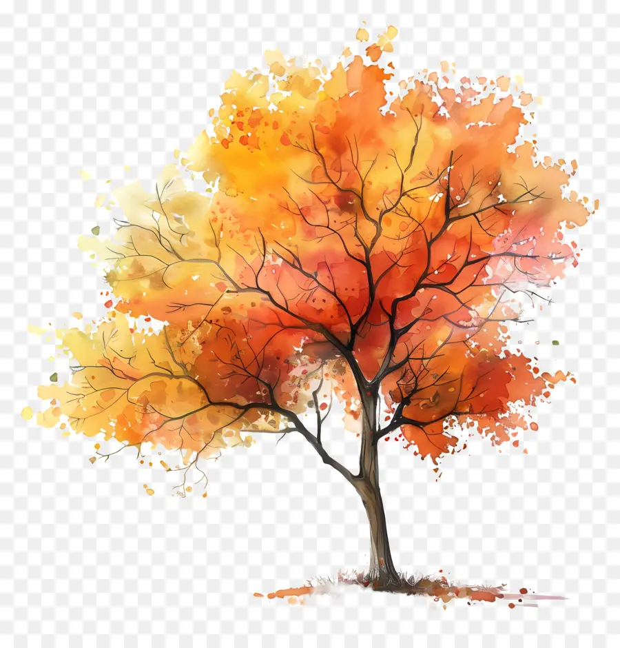 Plano De Arbol De Acuarela，árbol Rojo PNG