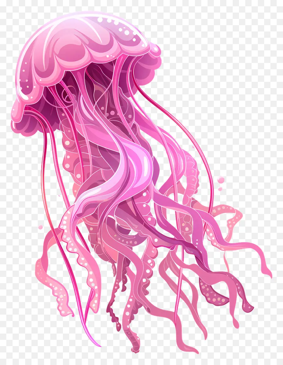 Las Medusas，Criatura De Mar PNG