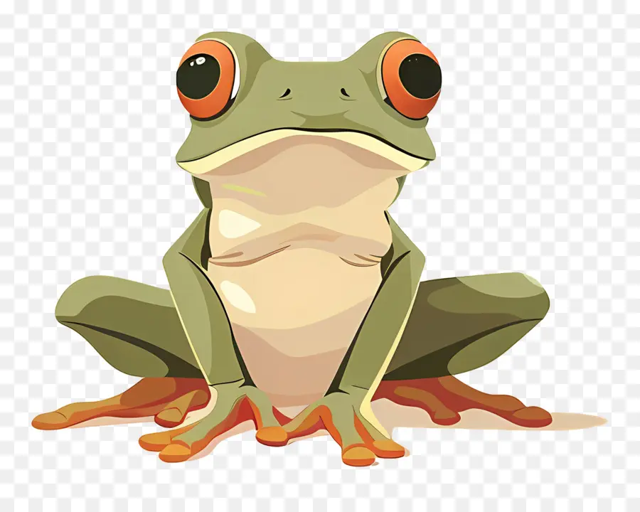 Cartoon Frog，Rana PNG