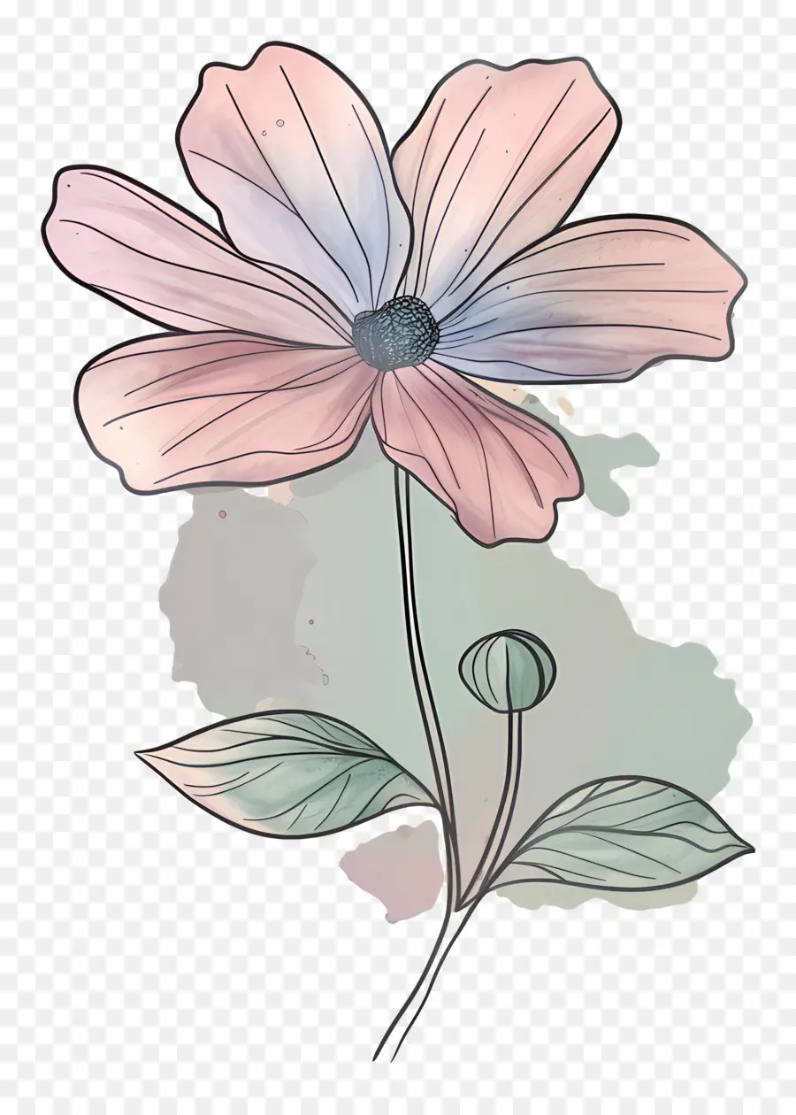 Doodle Flor，Flor Rosa PNG