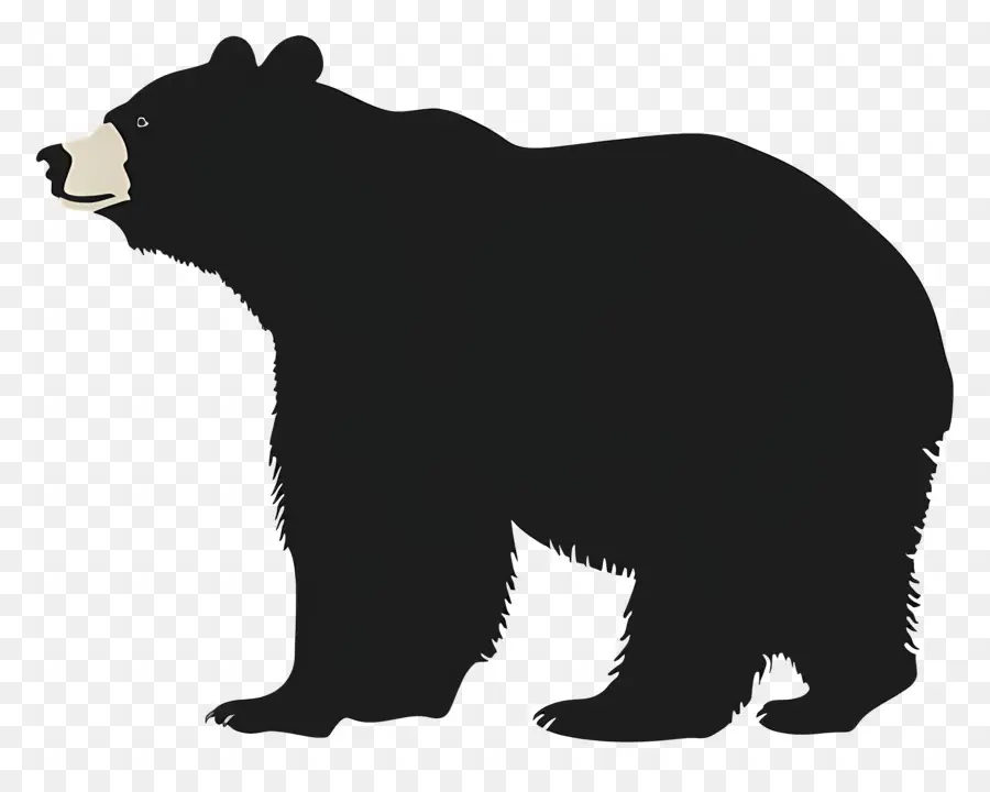 Oso，Silueta De Oso Negro PNG