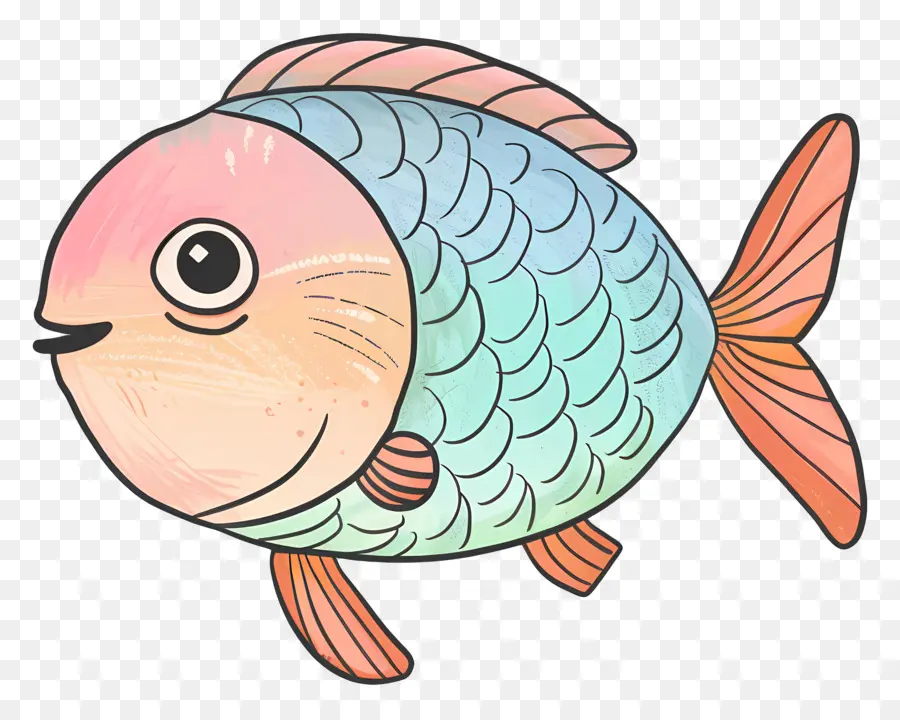 Los Peces，Peces De Colores PNG