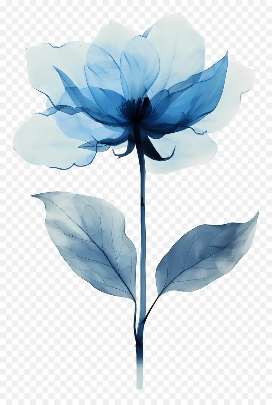 Flor Azul，Flor De Acuarela PNG