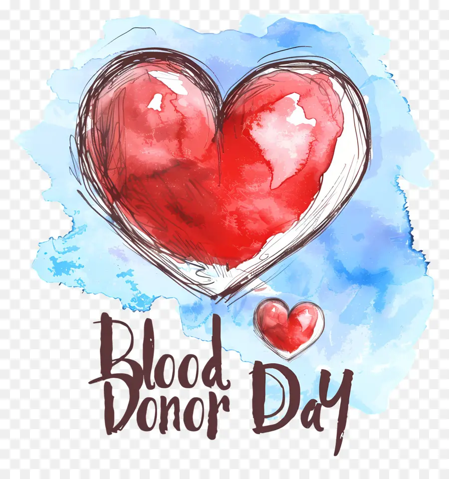 El Día Mundial Del Donante，La Donación De Sangre PNG