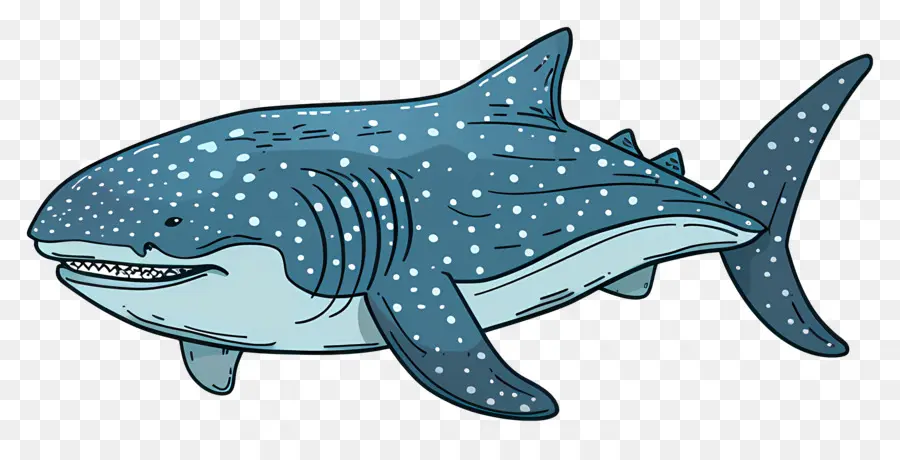 El Tiburón Ballena，Dibujos Animados De Tiburón PNG