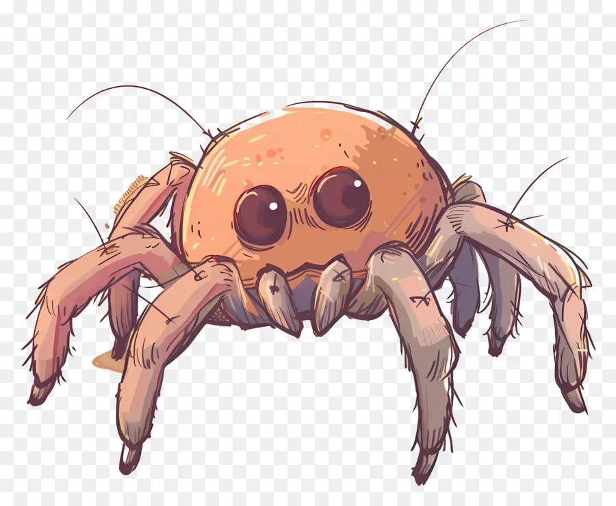 Araña，De Dibujos Animados De Spider PNG