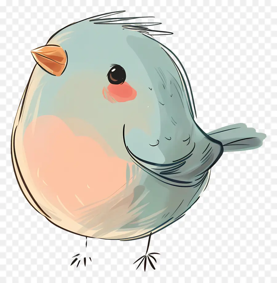 De Dibujos Animados De Aves，Plumas Azules PNG