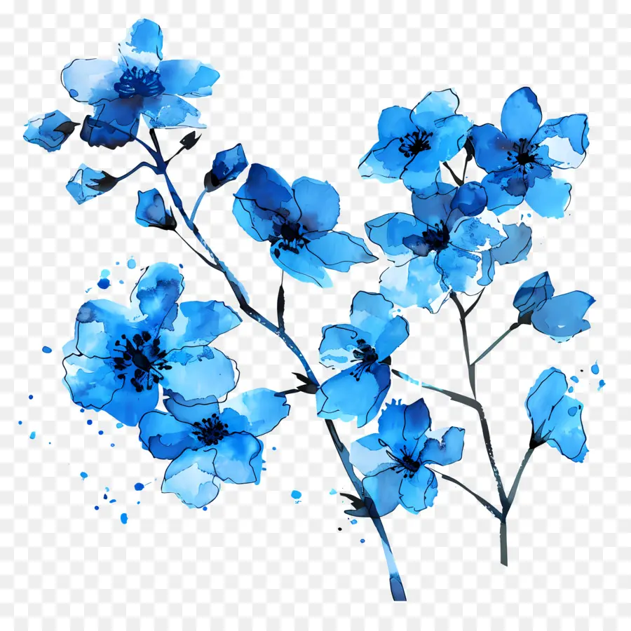 Forgetmenot，No Me Olvides PNG