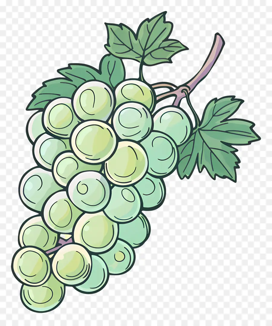 Uvas Verdes，Las Uvas PNG