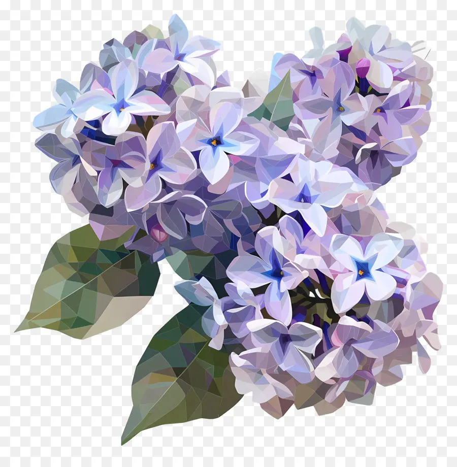 Arte Digital，Flores Moradas PNG